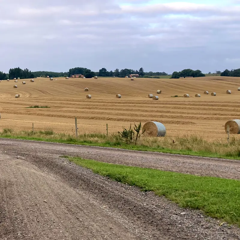 Vägskäl Fält Med Storbalar Halm Lina IMG 4942
