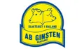 Ginsten