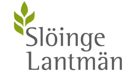 786A962d87c4f6fd37a17308447405db