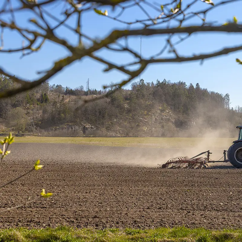 Harv Traktor Varbruk Istock 1147836258