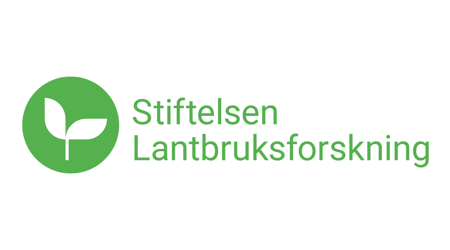 Logo Bild