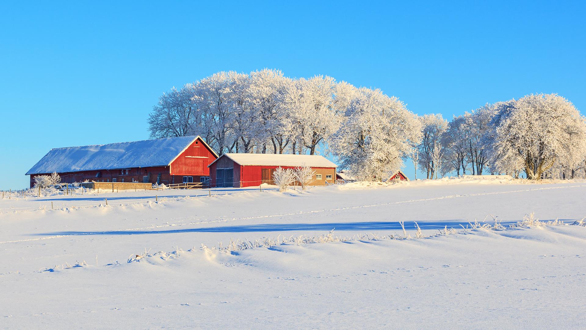 Istock 523203171 (1) (1)